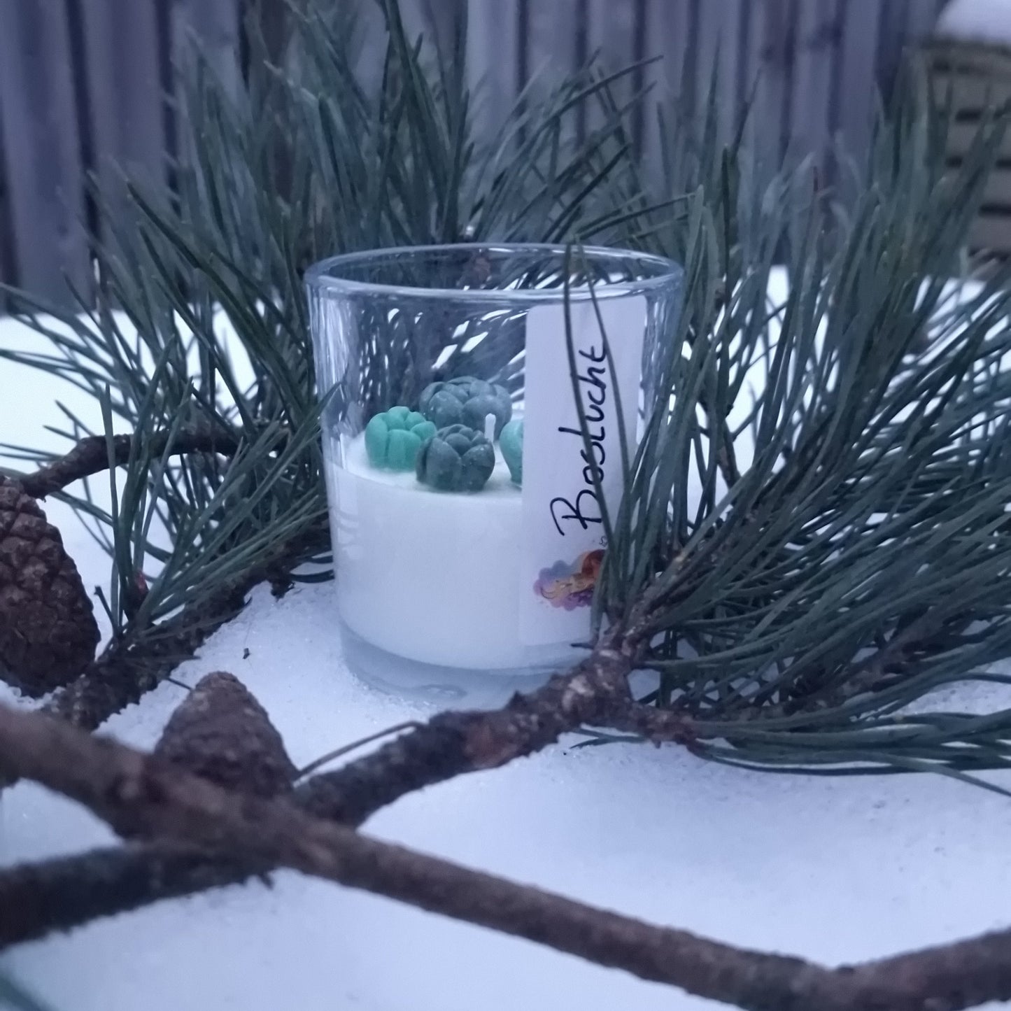 Handgemaakte geurkaars Boslucht met dennengeur in glazen pot
