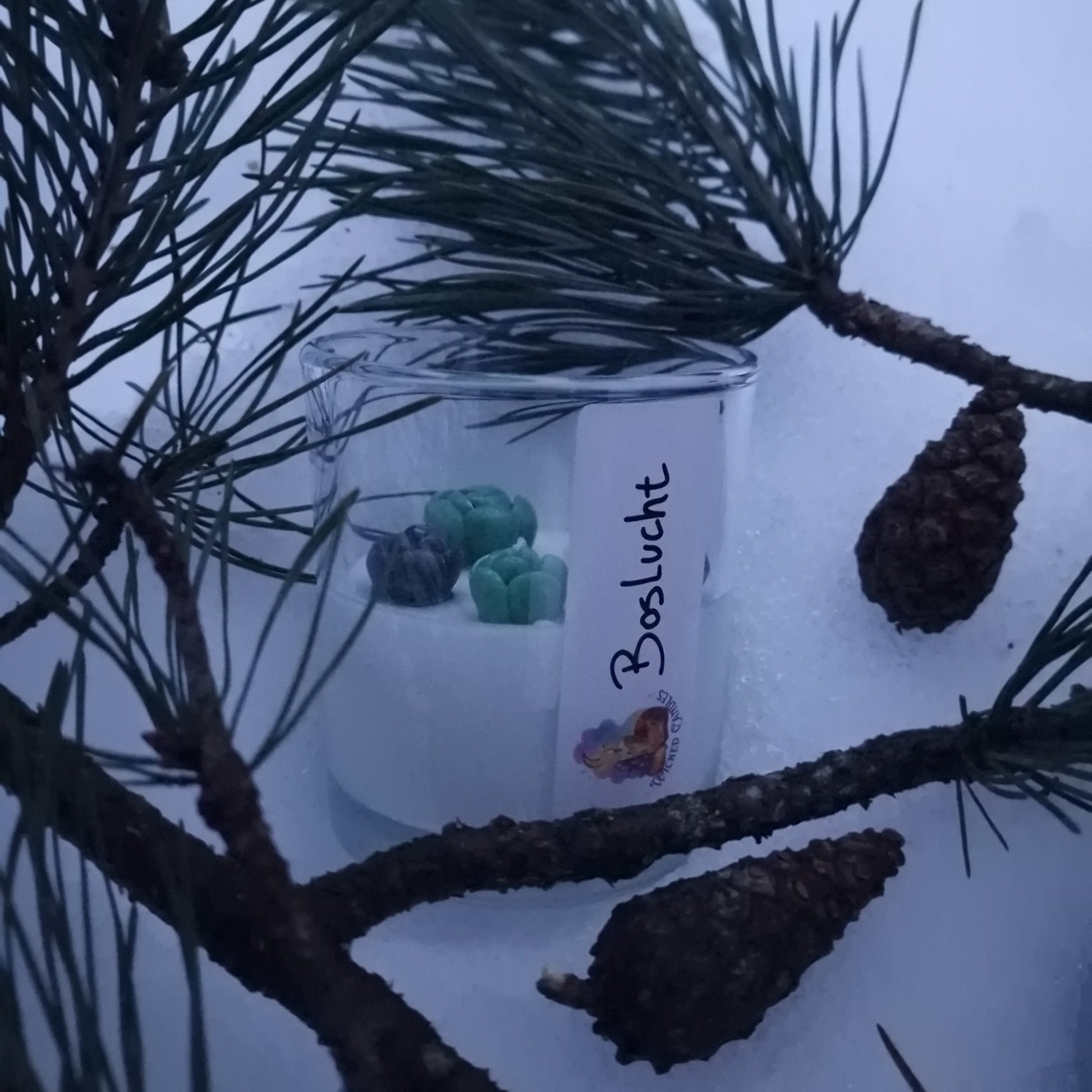 Duurzame geurkaars met dennen geur tussen sparrentakken